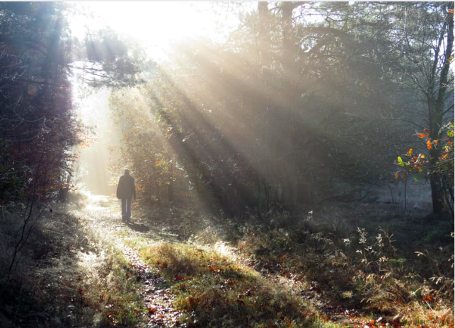 how to be happy again after severe trauma and loss